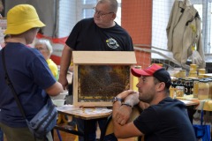 1_306842764_608525347424489_7344003938281473924_n