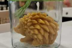 299697568_590926942517663_8040249618077834504_n