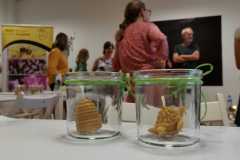 299777355_590926985850992_8714708458157321544_n