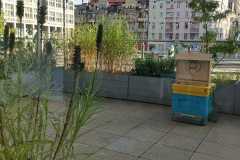 300345667_590925979184426_7896140643705893371_n