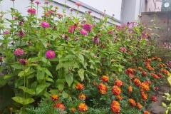 310531779_10161963750509377_5811441240339178438_n