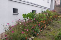 310663728_10161963748719377_1776622178302741137_n