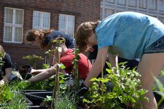 283442777_534166984860326_3344524017529749474_n