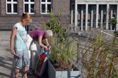 241692658_380023683607991_686348510272554947_n