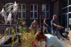 241702479_380023936941299_2375828030421175587_n