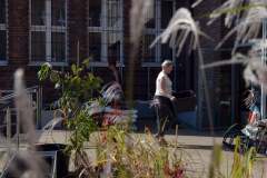 241736461_380023453608014_4741079490449531570_n